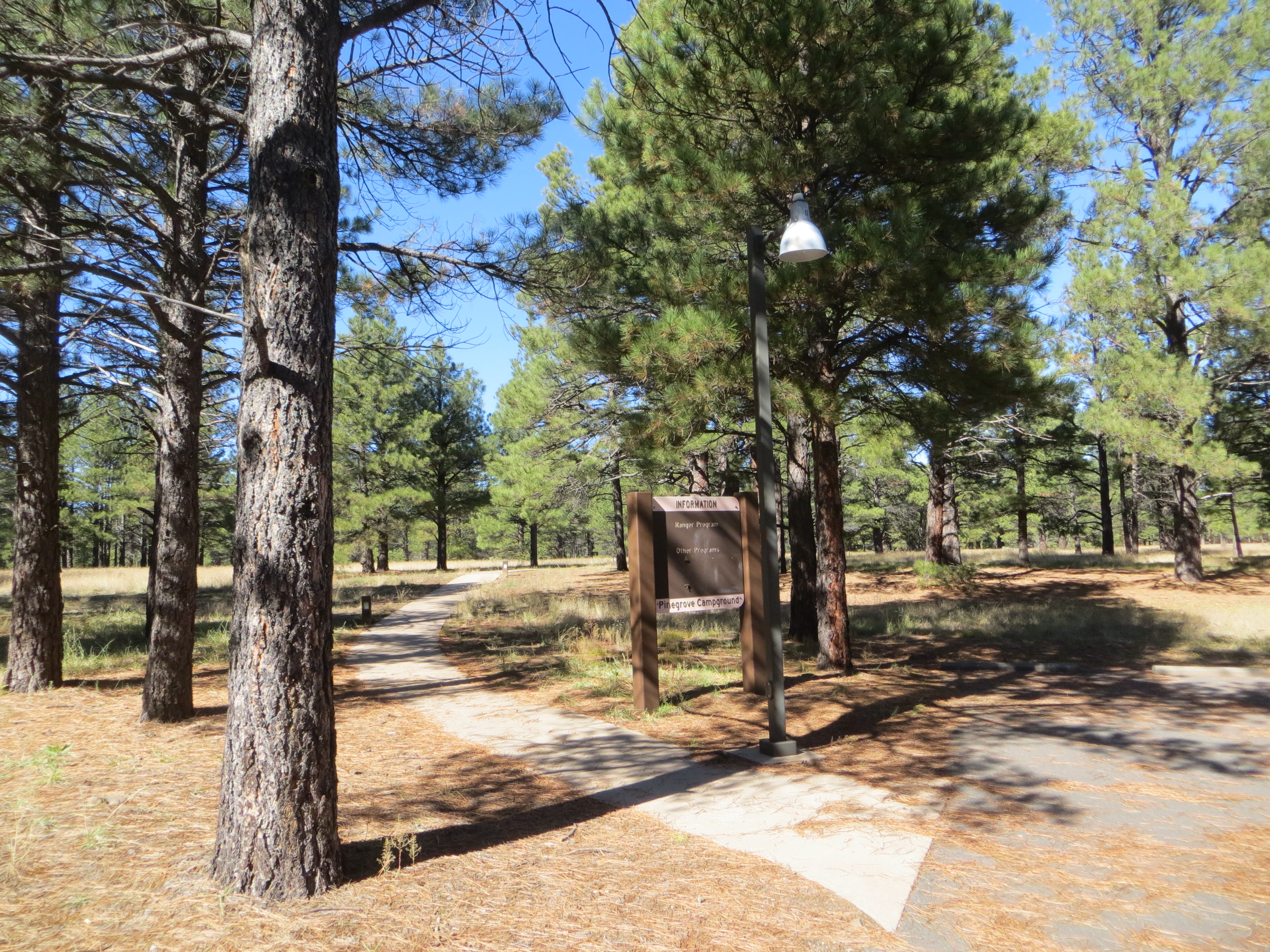 Pinegrove Campground | Recreation Resource Management
